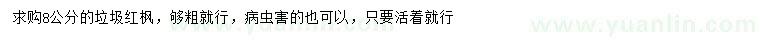 求購8公分垃圾紅楓