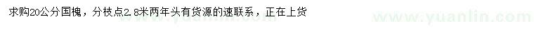 求購(gòu)20公分國(guó)槐