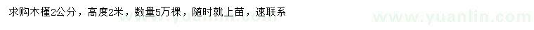 求購高2米木槿