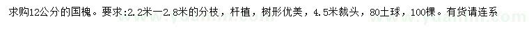 求購12公分國槐