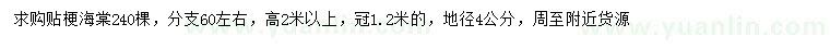 求購地徑4公分貼梗海棠