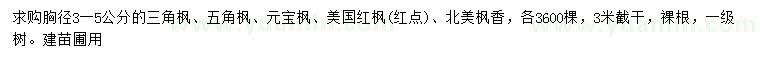 求購三角楓、五角楓、元寶楓等