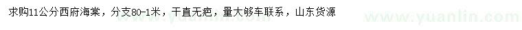 求購(gòu)11公分西府海棠