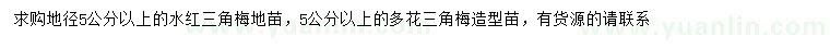 求購地徑5公分以上水紅三角梅、多花三角梅