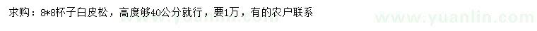 求購(gòu)高40公分白皮松