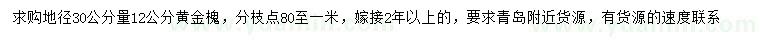 求購地徑30公分量12公分黃金槐