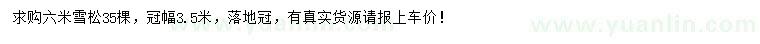求購6米雪松