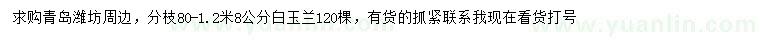 求購8公分白玉蘭