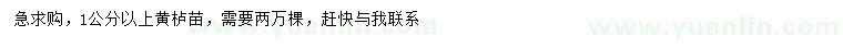求購1公分以上黃櫨苗