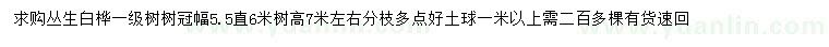 求購(gòu)高7米左右叢生白樺