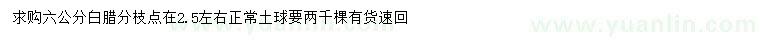 求購6公分白臘