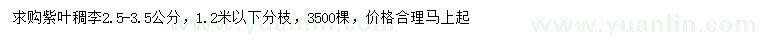 求購(gòu)2.5-3.5公分紫葉稠李