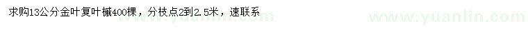 求購13公分金葉復(fù)葉槭