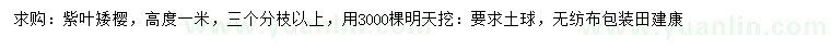 求購(gòu)高1米紫葉矮櫻