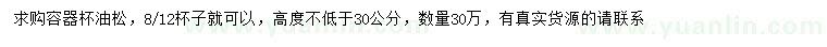求購高30公分以上油松