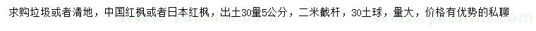 求購30公分量5公分中國紅楓或者日本紅楓