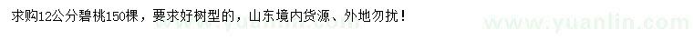 求購12公分碧桃
