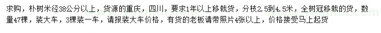 求購(gòu)米徑38公分以上樸樹