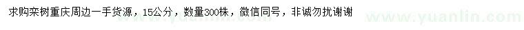 求購15公分欒樹