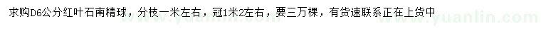 求購地徑6公分紅葉石南精球