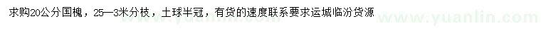 求購20公分國槐