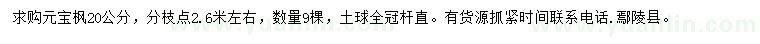 求購(gòu)20公分元寶楓
