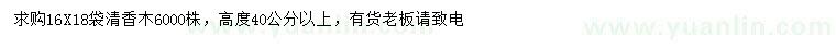 求購高40公分以上清香木