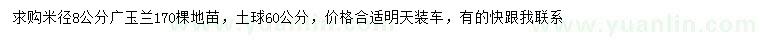 求購米徑8公分廣玉蘭