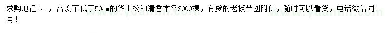 求購(gòu)地徑1公分華山松、清香木