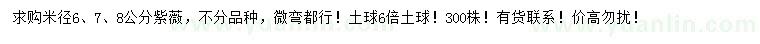 求購(gòu)米徑6、7、8公分紫薇