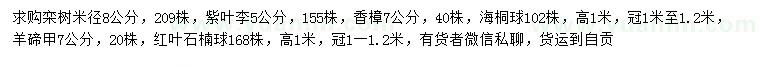 求購(gòu)欒樹(shù)、紫葉李、香樟等