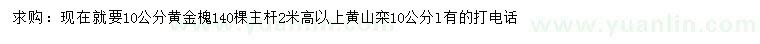求購10公分黃金槐、黃山欒