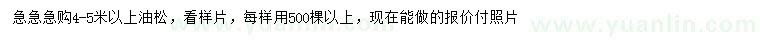 求購4-5米以上油松