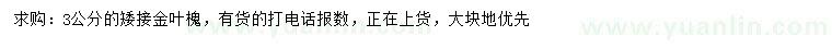 求購3公分矮接金葉槐