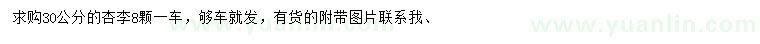 求購30公分杏李