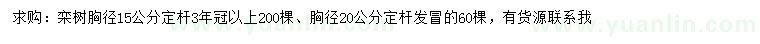 求購(gòu)胸徑15、20公分欒樹(shù)