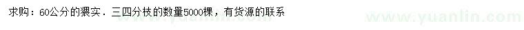 求購60公分猥實(shí)