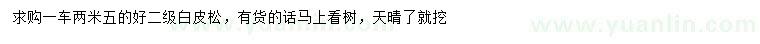 求購2.5米白皮松