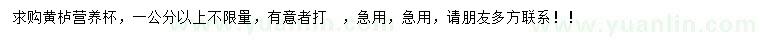 求購(gòu)1公分以上黃櫨