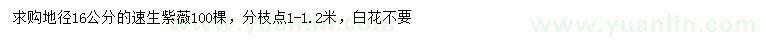 求購地徑16公分速生紫薇