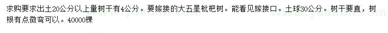 求購(gòu)20公分以上量4公分枇杷樹(shù)