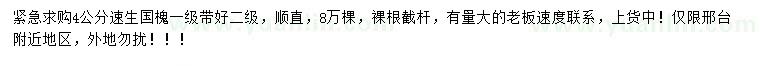 求購(gòu)4公分速生國(guó)槐