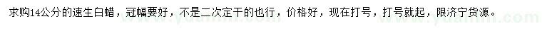 求購14公分速生白蠟