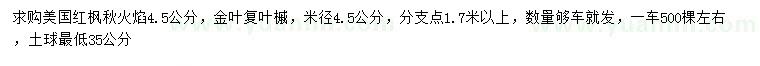 求購4.5公分美國紅楓秋火焰、金葉復(fù)葉槭
