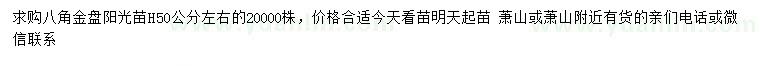 求購高50公分左右八角金盤