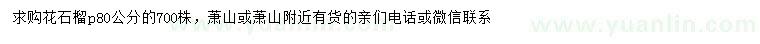求購冠幅80公分花石榴
