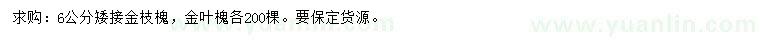 求購6公分金枝槐、金葉槐
