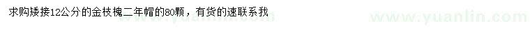 求購12公分矮接金枝槐