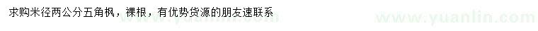 求購米徑2公分五角楓