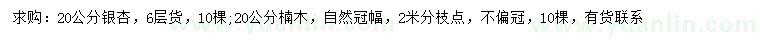 求購20公分銀杏、楠木